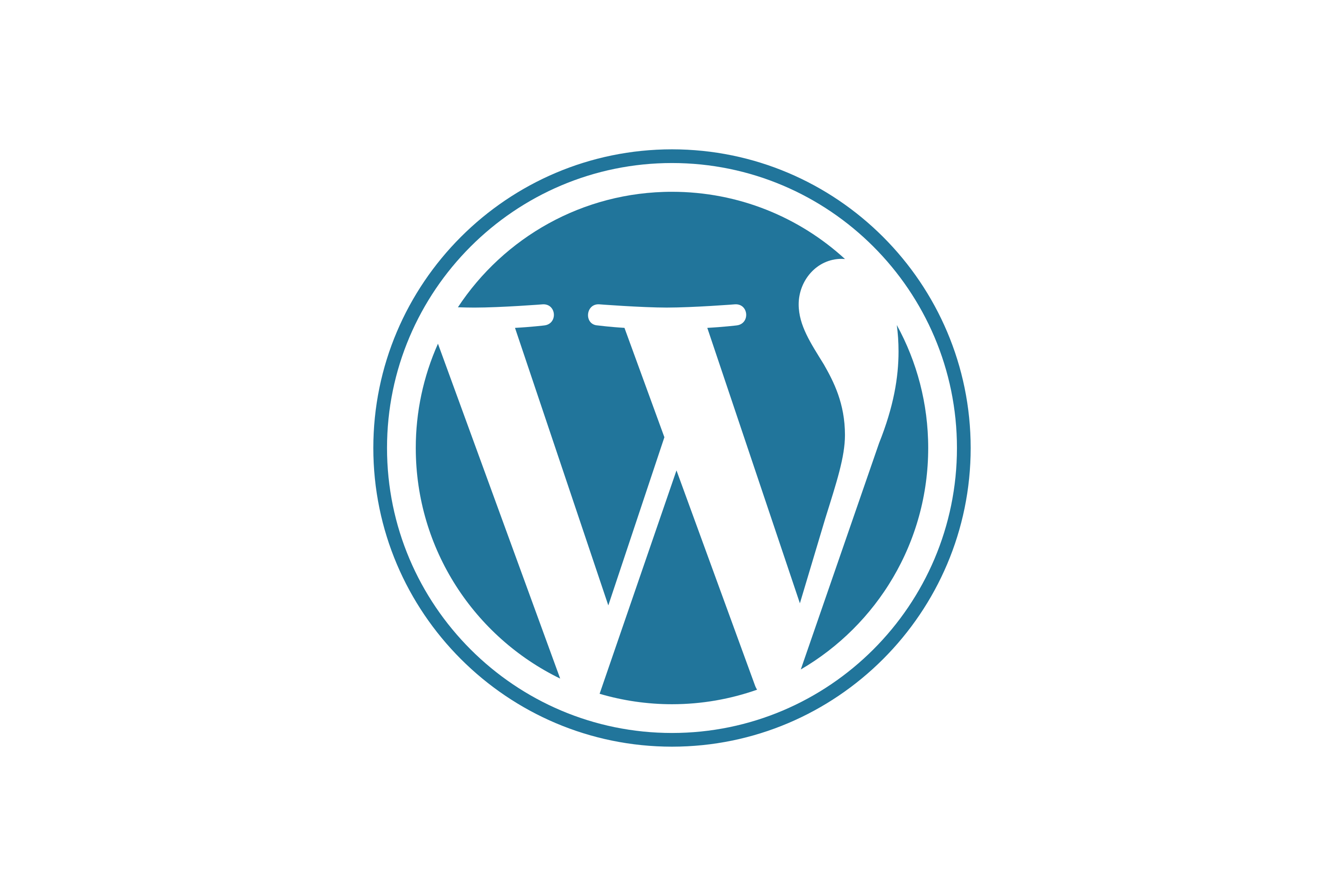 wordpress skill